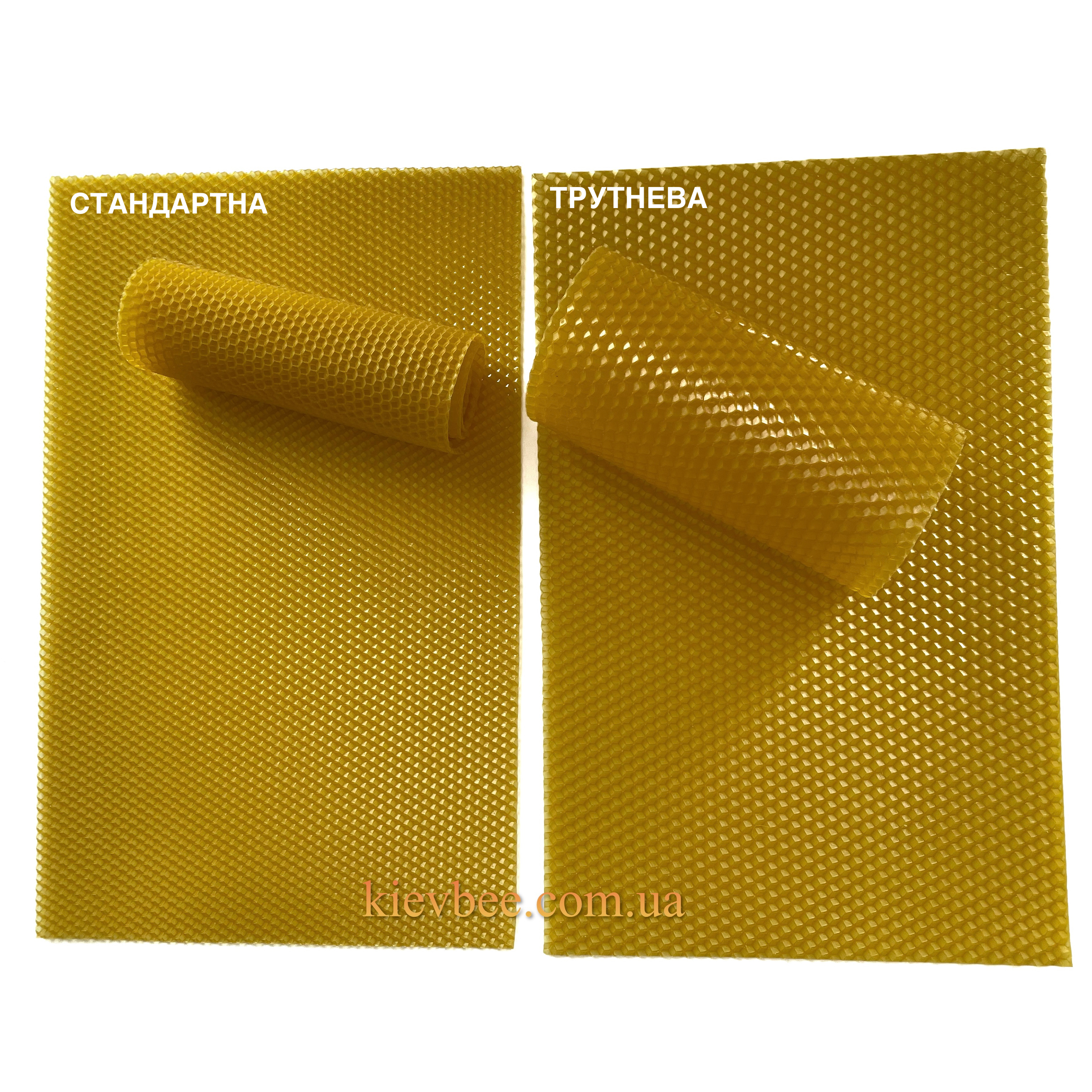 Вощина